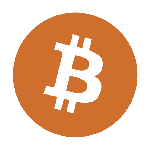 Bitcoin payment icon